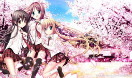 甜蜜的惩罚樱花动漫,樱花动漫中的浪漫纠葛与成长之旅