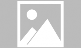 藏獒视频,勇猛与忠诚的守护者